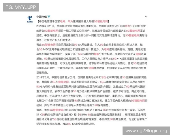 掌握5g智能电网白皮书PDF中的关键技术与未来发展方向的详细解读